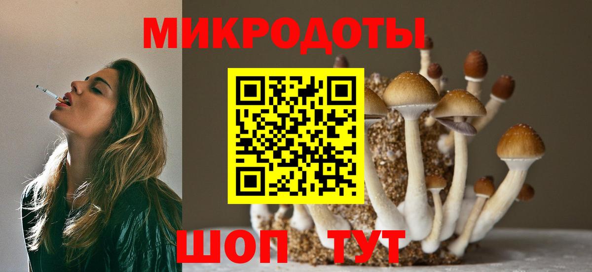 Галлюциногенные грибы мицелий  Вход с VPN  Галлюциногенные грибы Psilocybine cubensis  Новоуральск 